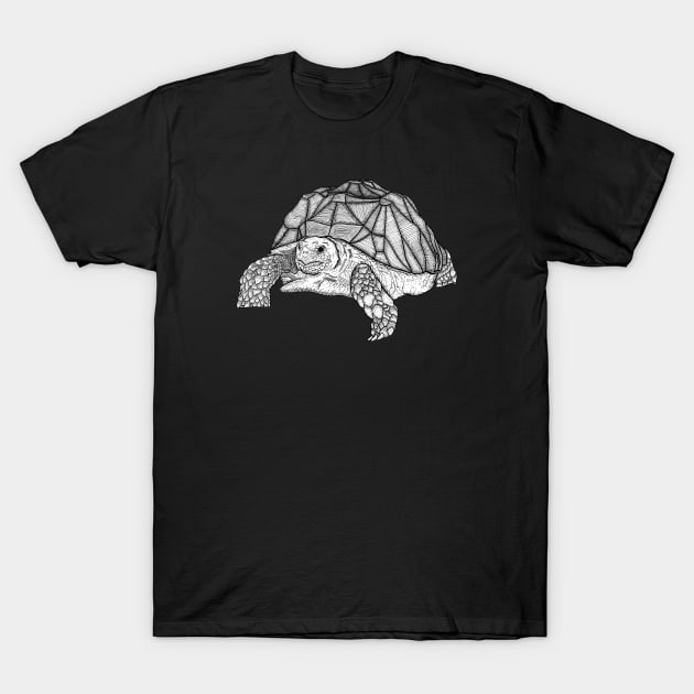 Turtle T-Shirt by JudePeters